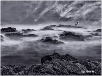 /album/fotogaleria-fotos-b-n/a30-640x480-jpg/